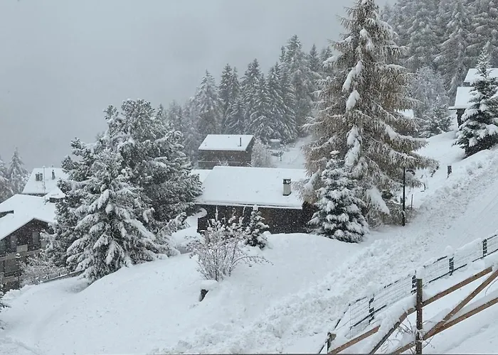 2 Bed In Out La Tzoumaz Verbier *